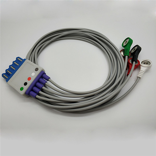 Compatible HP / PH Ecg Leads Medical AHA Standard 6 Months Warranty