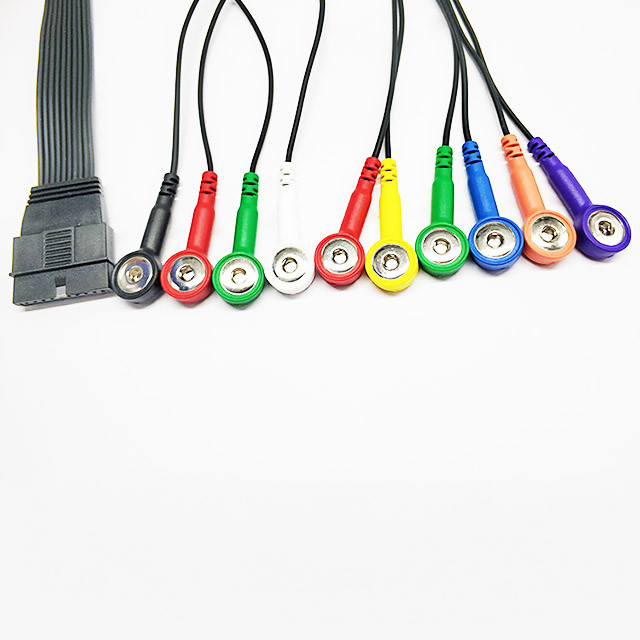IEC AHA Clip Snap ECG Patient Cable Holter 10 Lead 1m For Schiller MS-12
